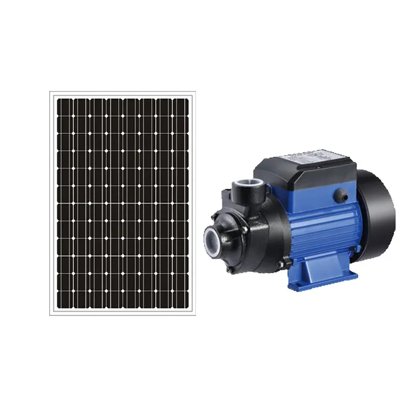 Solar Irrigation Pump 12V - Pompa per Acqua da Piscina Solare