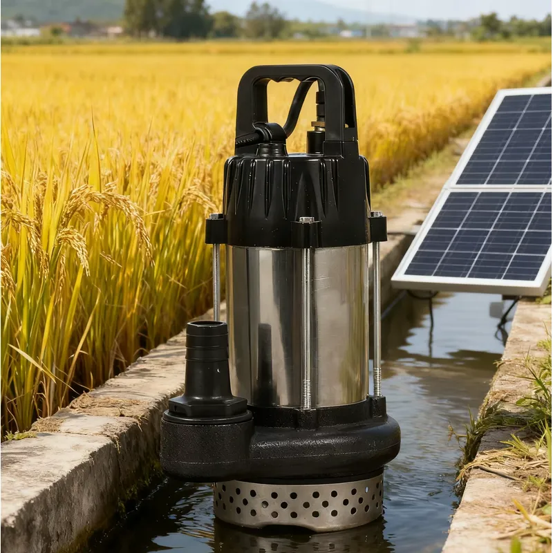 Solar Water Pump 48V Submersible - Pompa Solare per Acqua 48V 500W,