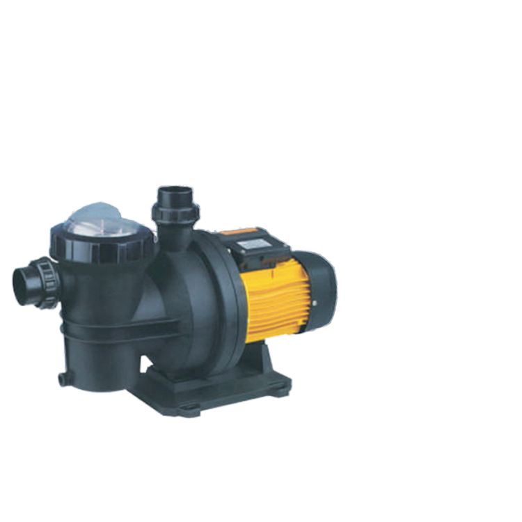 Solar Pool Pump 48V Dc - Pompa a Motore DC Brushless per