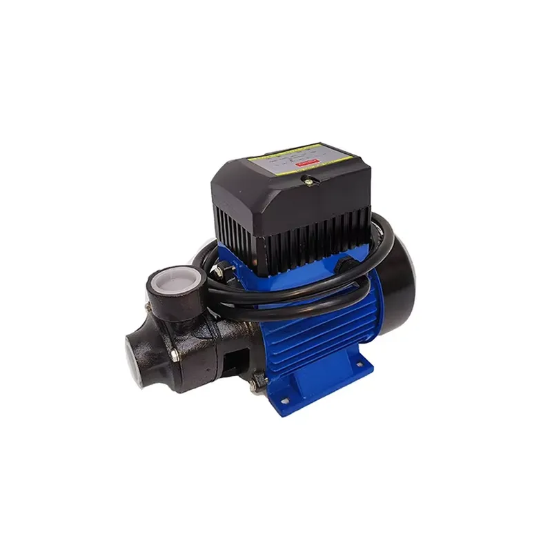 Solar Irrigation Pump 12V - Pompa d'Acqua Solare Mini QB60 12V