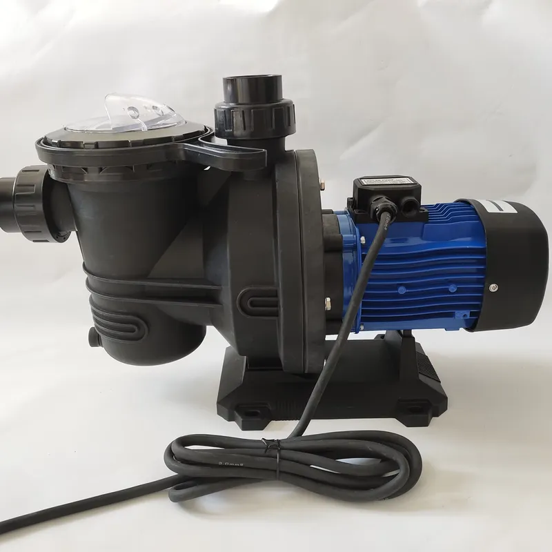 Produttore Cinese di Pompe Sol - Solar Pool Pump 48V Dc recensione e prezzo