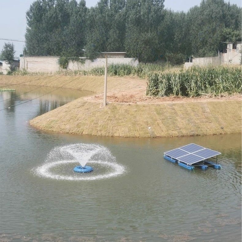 Pompa Solare di Superficie 1.5 - Solar Pool Pump 48V Dc recensione e prezzo