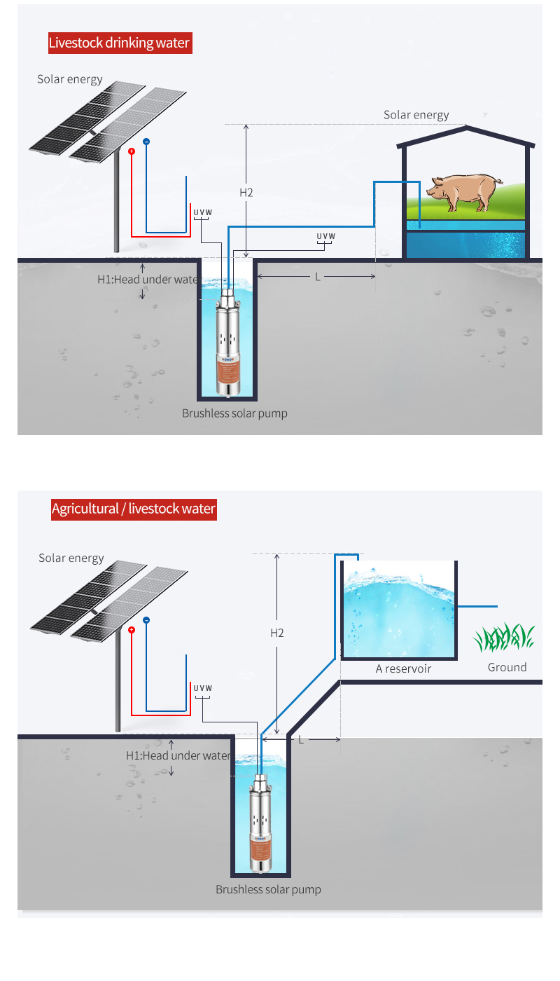 Pompa dell'acqua solare DC di  - Solar Water Pump 48V Submersible recensione e prezzo