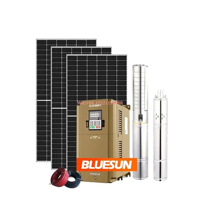 WMWMNU per Bluesun Kit Complet - Solar Powered Water Pump Kit Complete recensione e prezzo