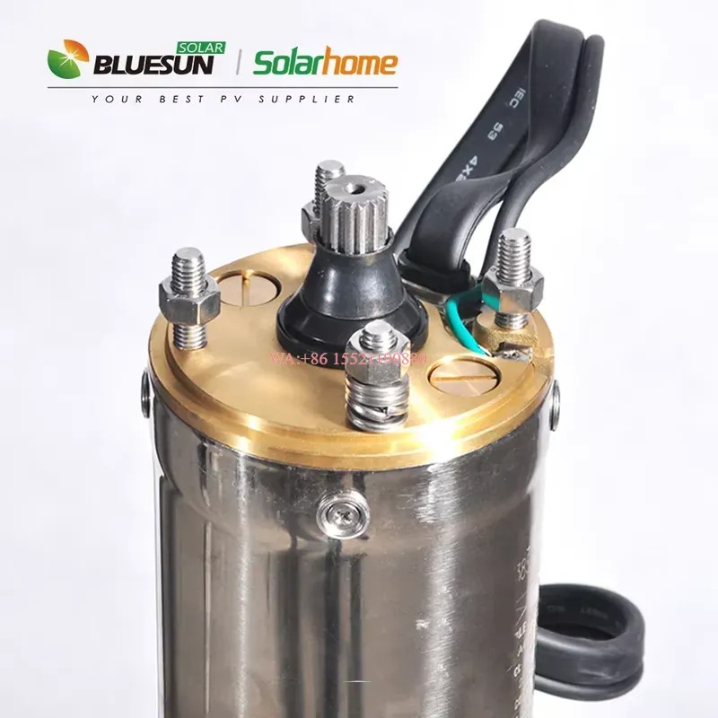WMWMNU per Bluesun Kit Complet - Solar Powered Water Pump Kit Complete recensione e prezzo