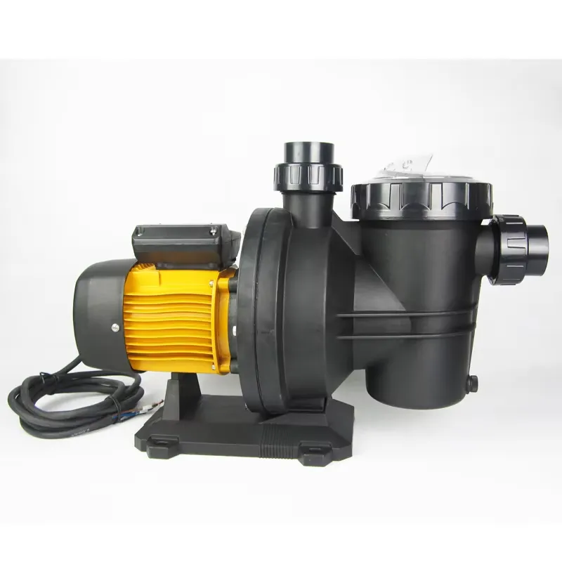 Pompa Solare per Piscina 48VDC - Solar Pool Pump 48V Dc recensione e prezzo