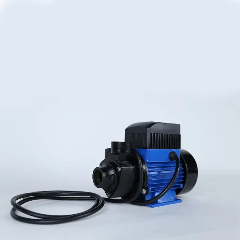 Pompa d'Acqua Solare Mini QB60 - Solar Irrigation Pump 12V recensione e prezzo